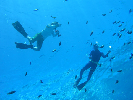 b0062363_7314724.jpg