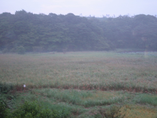 d0094868_1355961.jpg