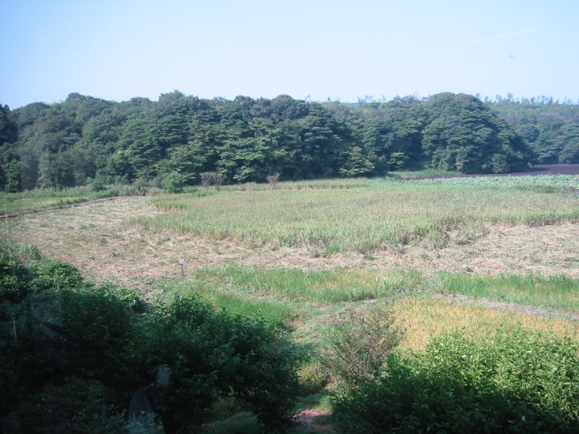 d0094868_1361478.jpg