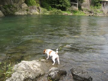 f0100871_17263169.jpg