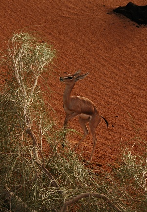 e0066474_0453589.jpg