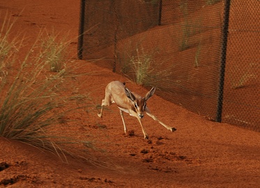 e0066474_0521781.jpg