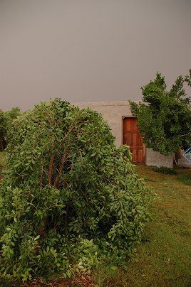 e0066474_16102082.jpg