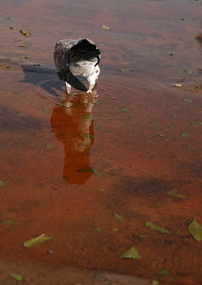 e0066474_16125069.jpg