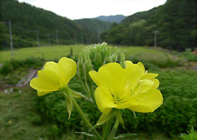 a0044076_21281517.jpg