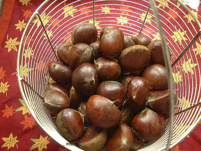 f0039281_23351874.jpg