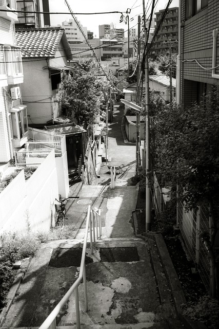 f0167482_2345910.jpg
