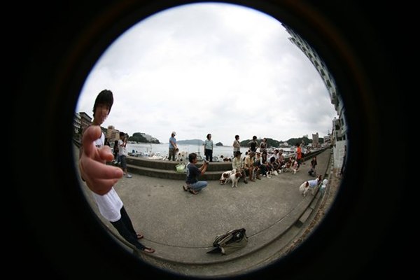 d0001985_23503054.jpg