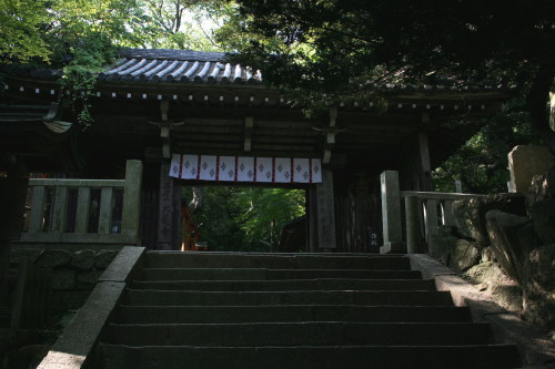 b0118987_5564347.jpg