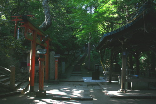 b0118987_558753.jpg