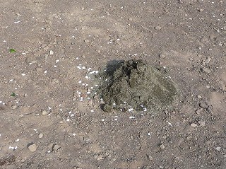 c0160488_1844375.jpg