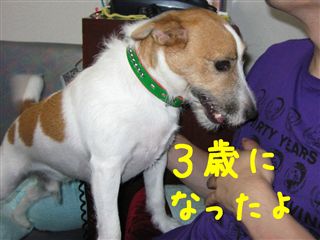 e0121589_15253216.jpg