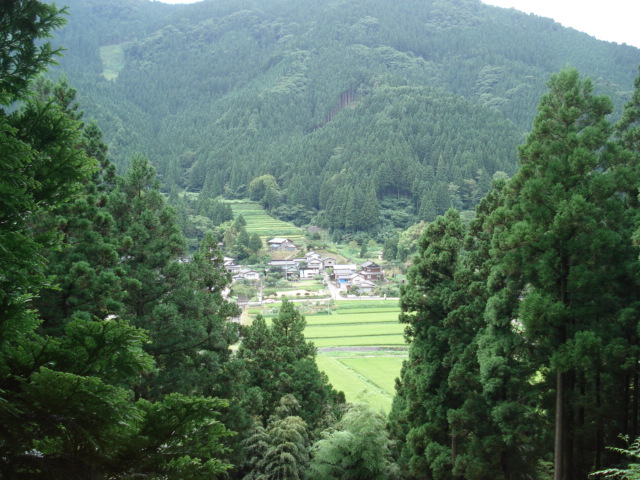 b0080090_12493184.jpg