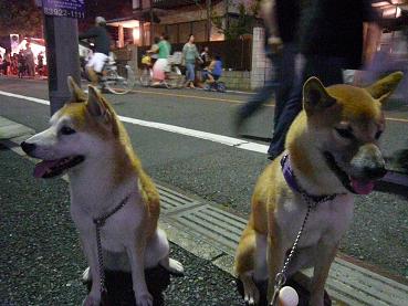 c0123890_2042012.jpg
