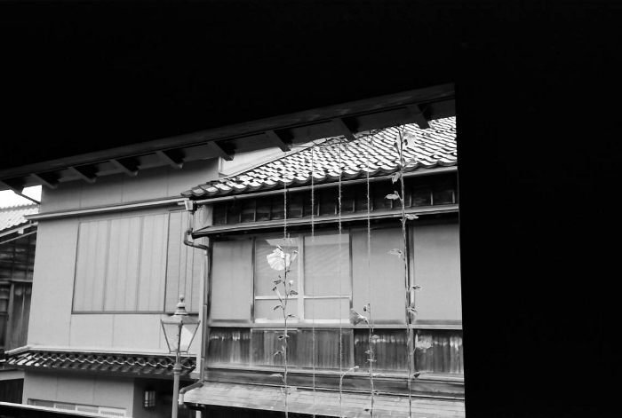 e0025893_04404.jpg