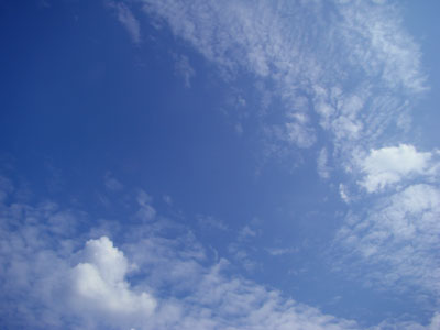 a0047200_9112625.jpg