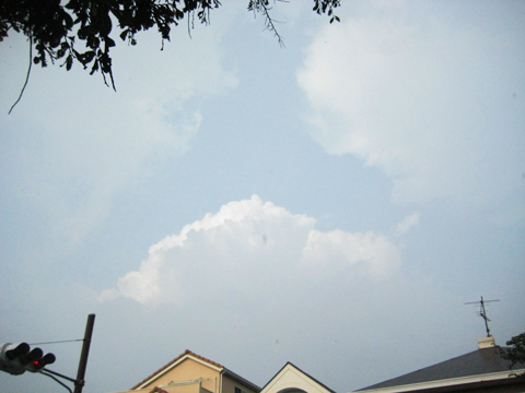 b0097200_19234911.jpg