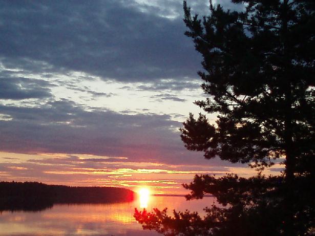 f0005602_1417975.jpg