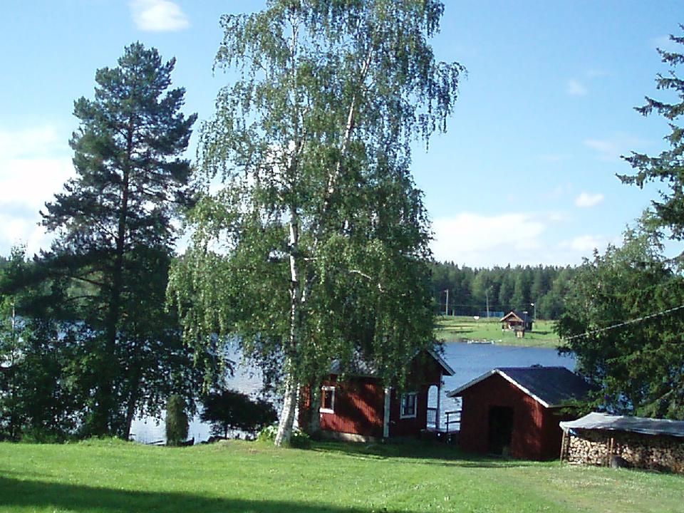 f0005602_143841.jpg