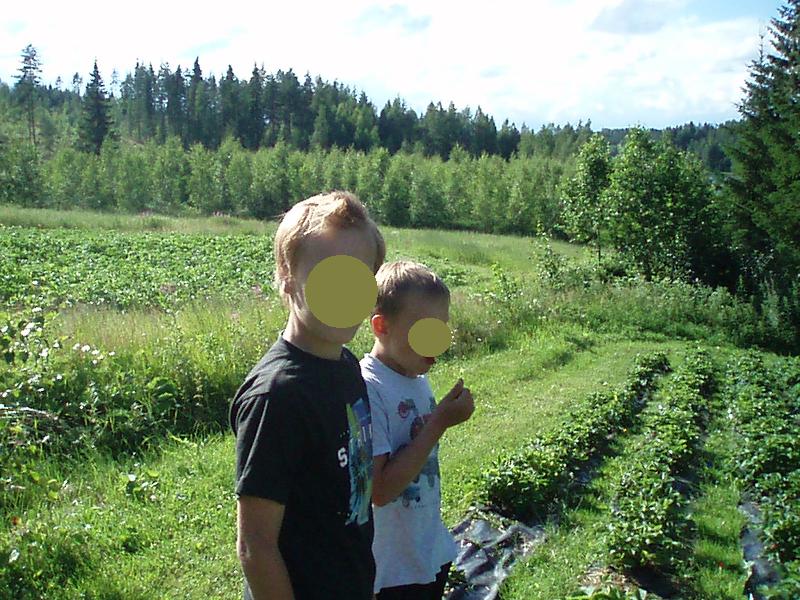 f0005602_147045.jpg