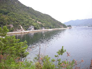 a0101503_255169.jpg