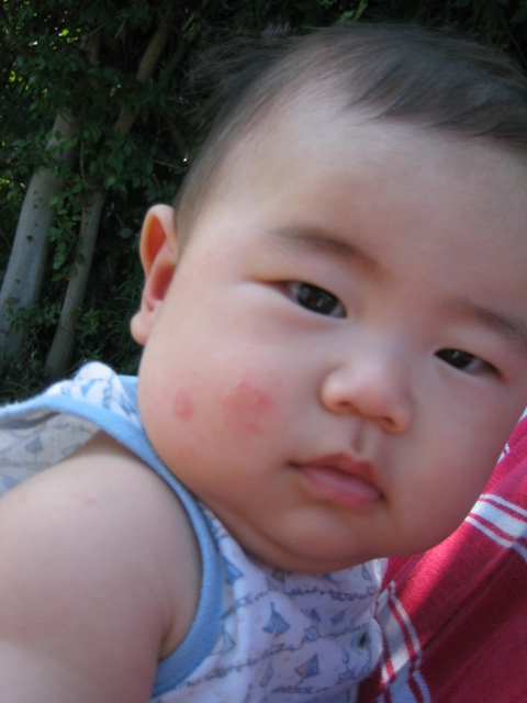 d0070007_21352879.jpg