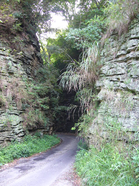 e0015108_814974.jpg