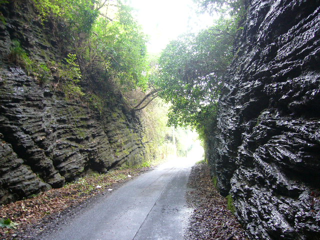 e0015108_8151629.jpg