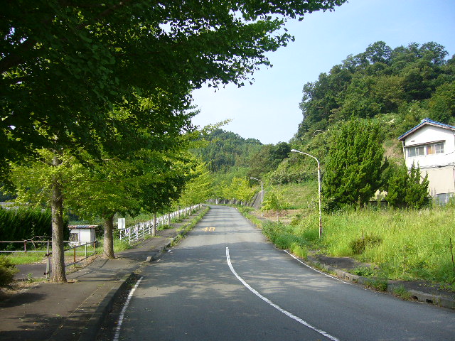 e0015108_8195634.jpg