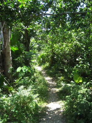 d0077811_179319.jpg
