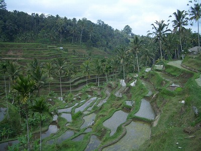 d0147812_23591639.jpg