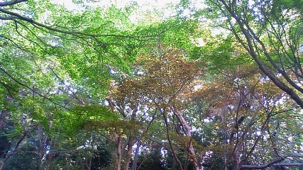 f0167314_2362262.jpg