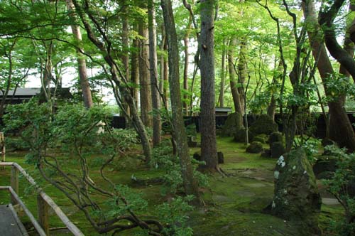 d0080118_2214911.jpg