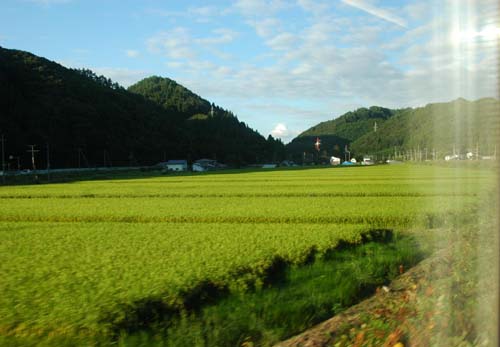 d0080118_22265426.jpg