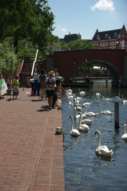 c0089419_1534076.jpg