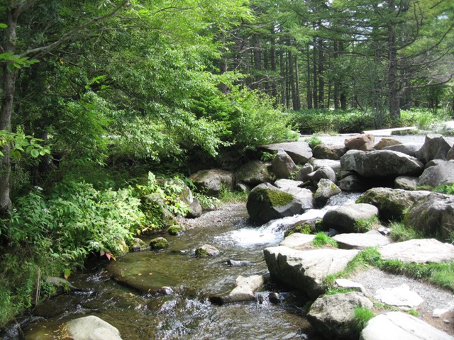 c0115922_22171565.jpg