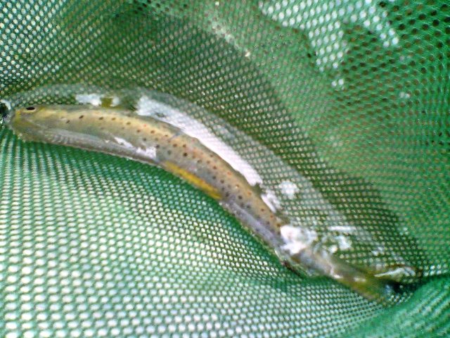 a0097823_23151663.jpg