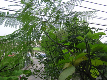 f0128723_127262.jpg