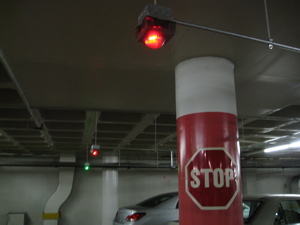 c0148627_823844.jpg