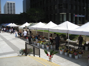c0148627_8275435.jpg