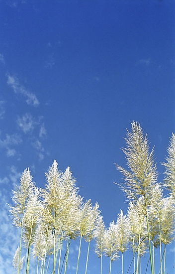 d0001533_013041.jpg