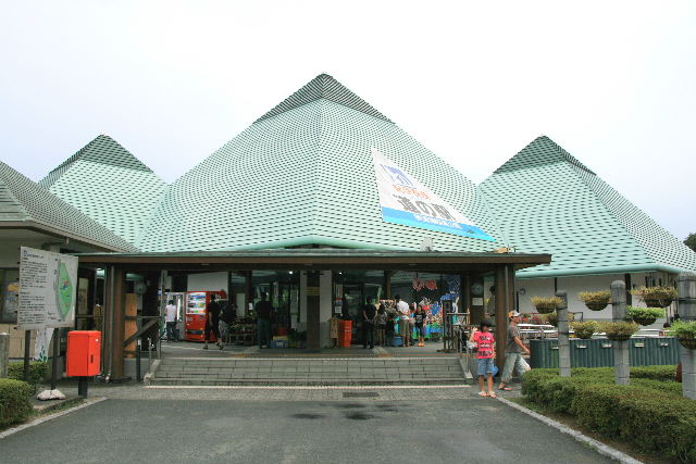 e0064133_1641393.jpg