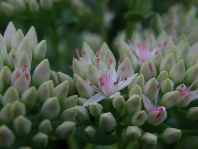 e0145033_2014059.jpg