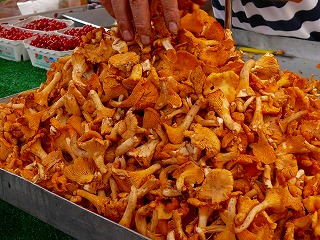 c0153740_3335110.jpg