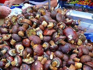 c0153740_3354721.jpg