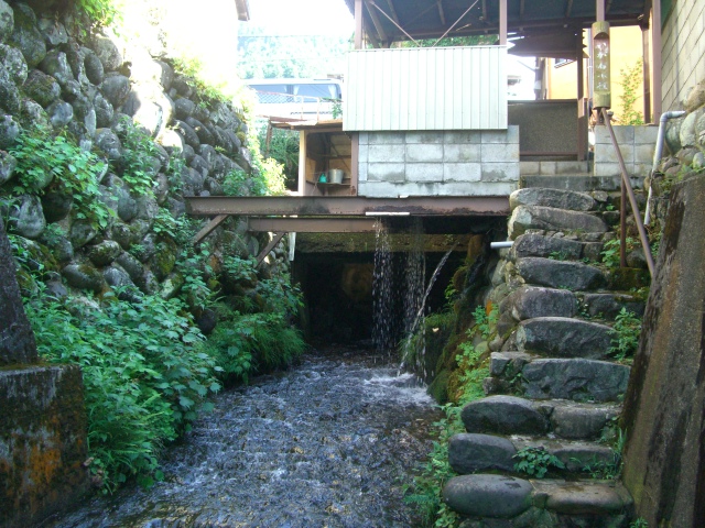 b0039246_115378.jpg