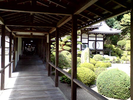 e0034047_18314.jpg