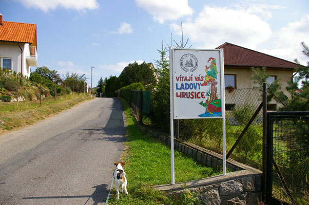 f0077150_1481093.jpg