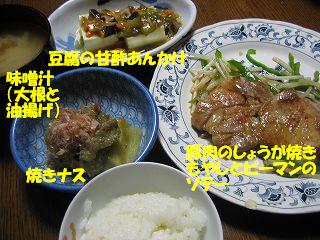 d0031853_1152929.jpg