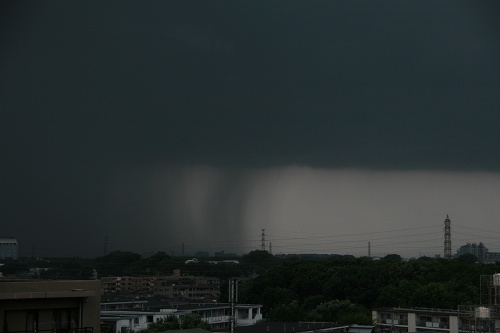 e0002554_2335525.jpg